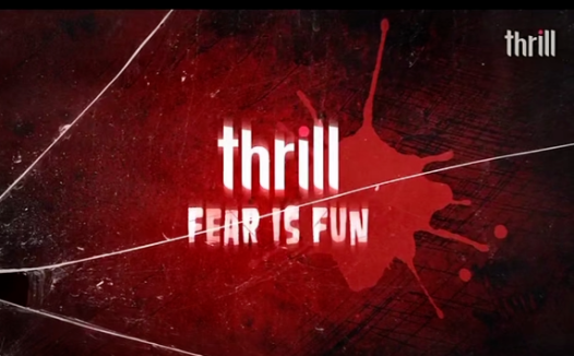 亚洲星空电视频道介绍:Thrill频道(天映系列)